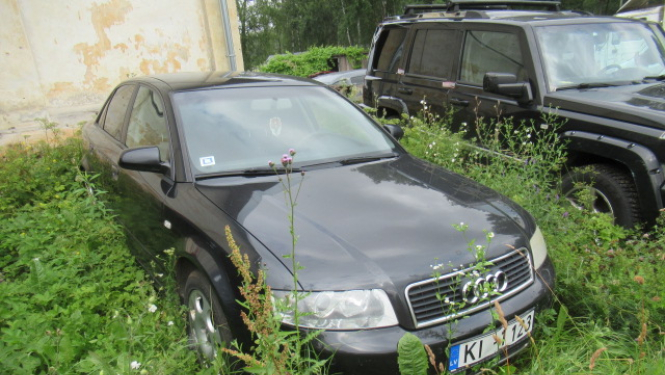 Audi