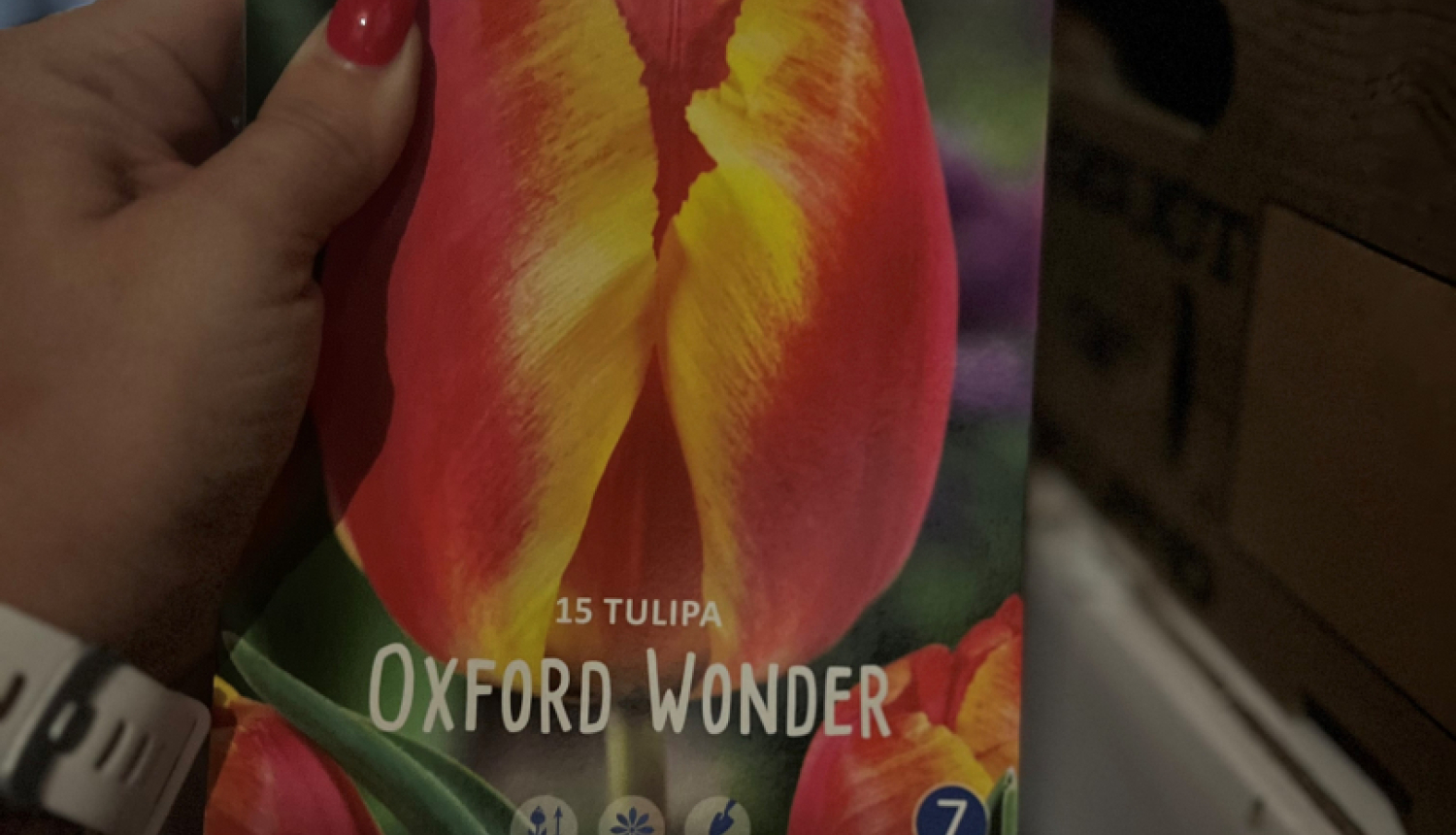 Par lietisko pierādījumu KL-15235 (Ziedu sīpoli - TULPES un Muscari) realizāciju