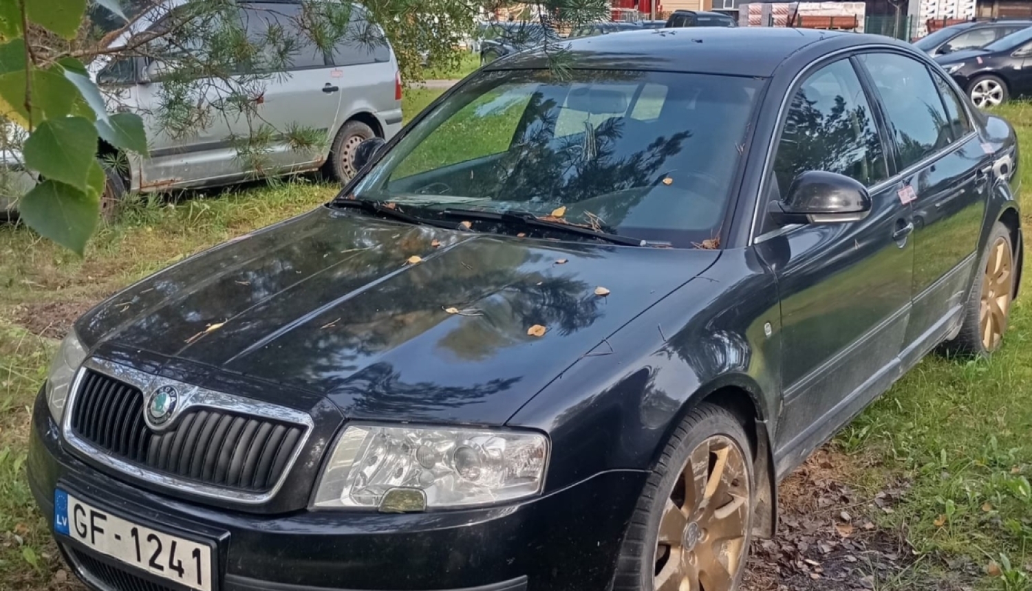 Foto attēls