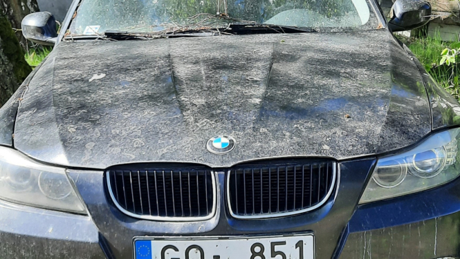 Foto attēls