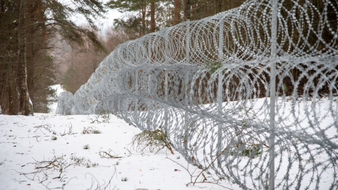 dzeloņstiepļu žogs