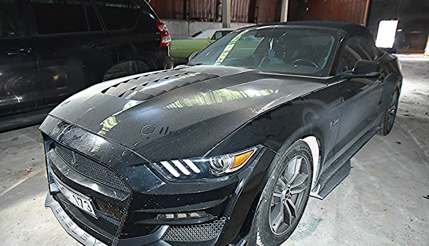 Mustang