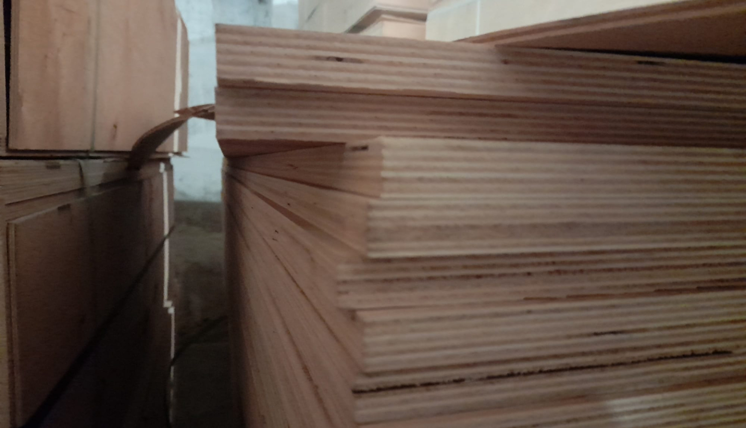 KL-13996_Berza_saplaksni