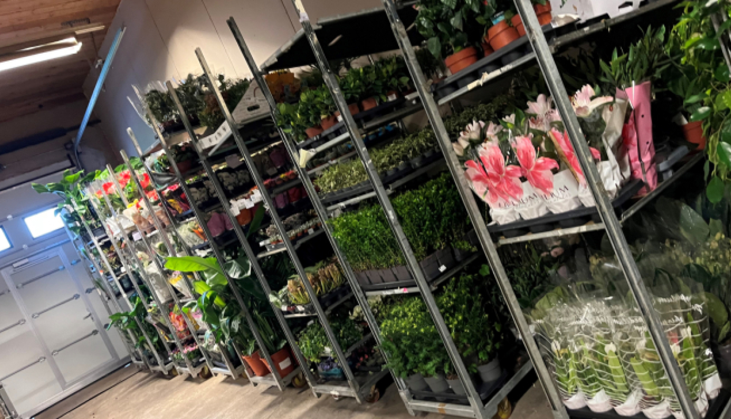 Par lietisko pierādījumu KL-16637 (ziedi podiņos) realizāciju