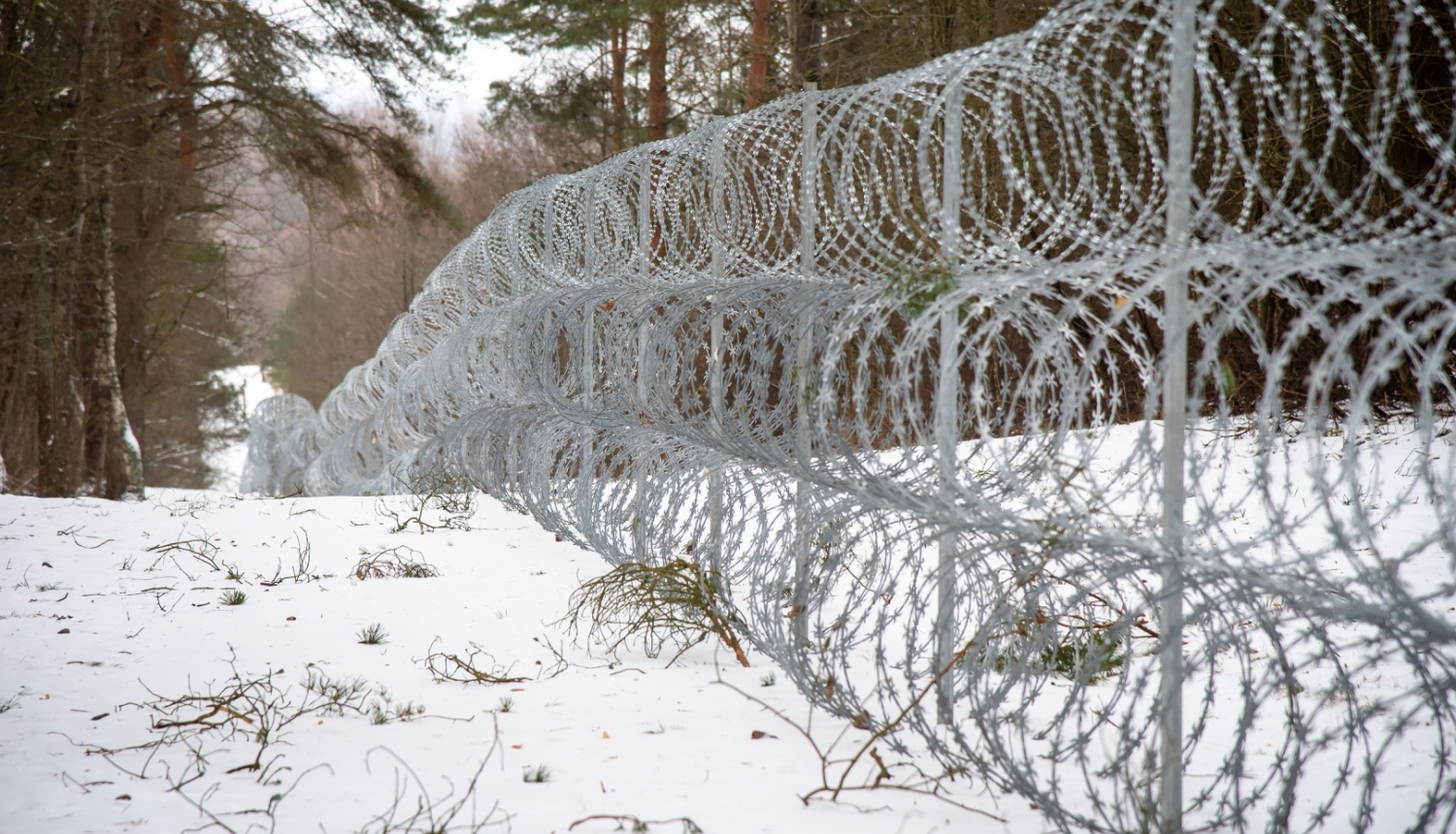 dzeloņstiepļu žogs