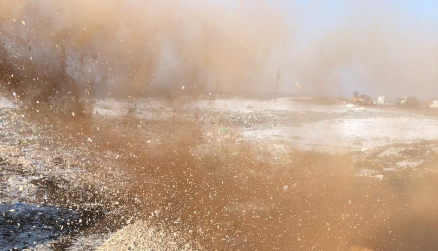 iznīcināšana_februāris