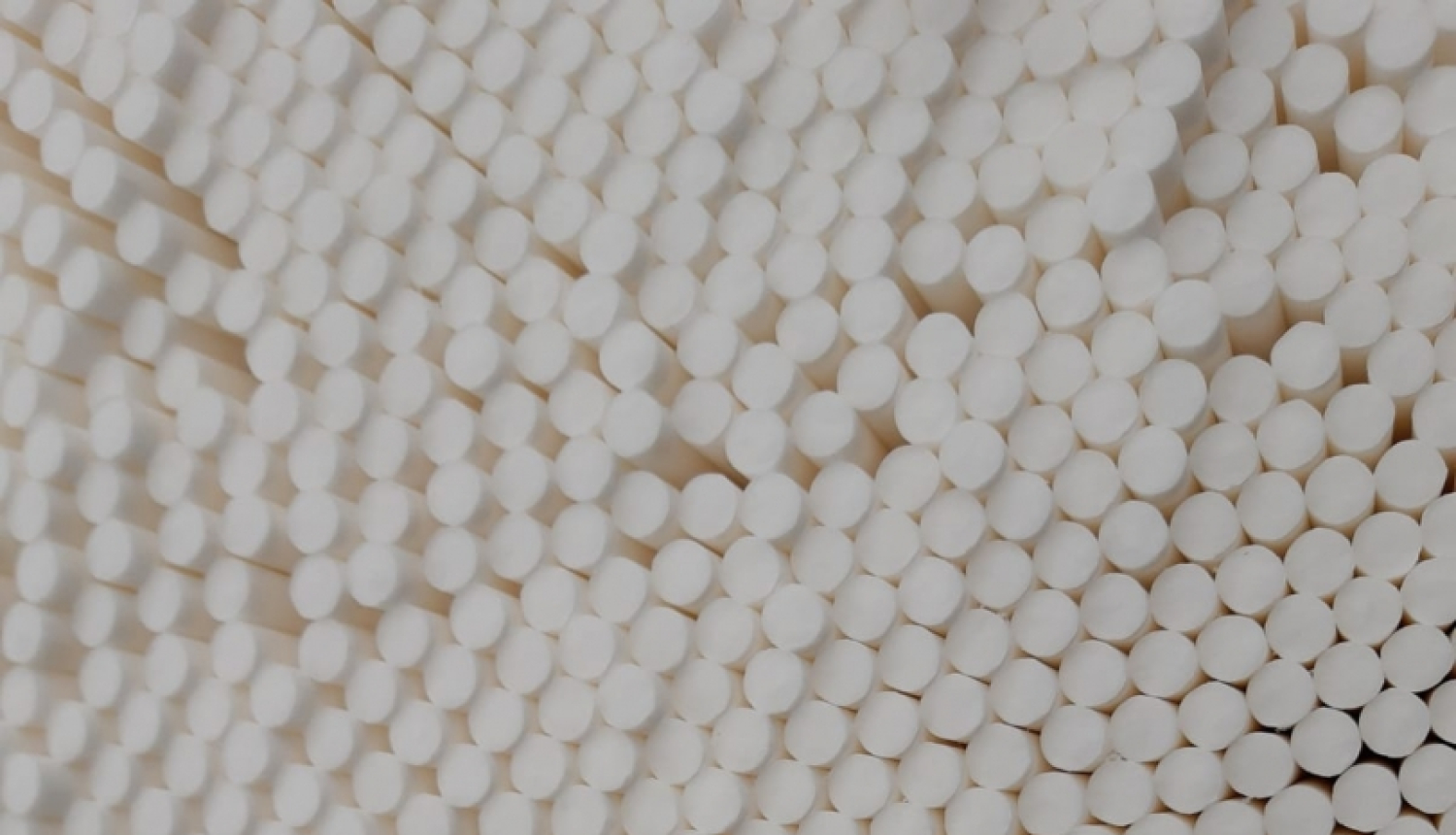 iznīcināšana_26.01.2021.