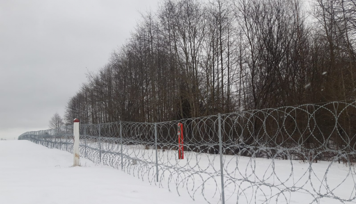 Pagaidu žogs ziemā