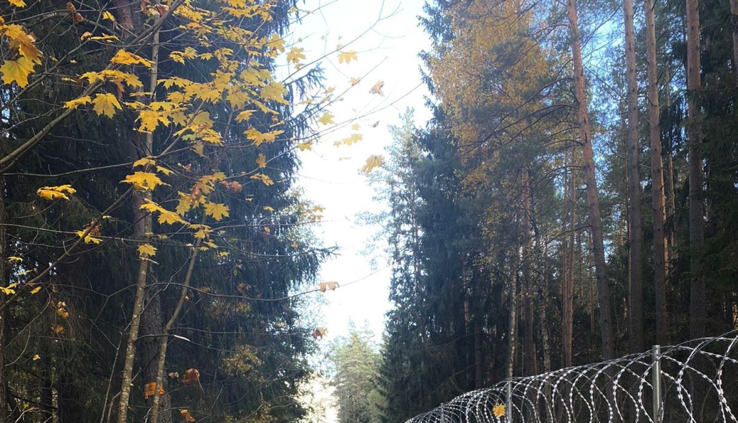 Žogs uz Latvijas-Baltkrievijas robežas