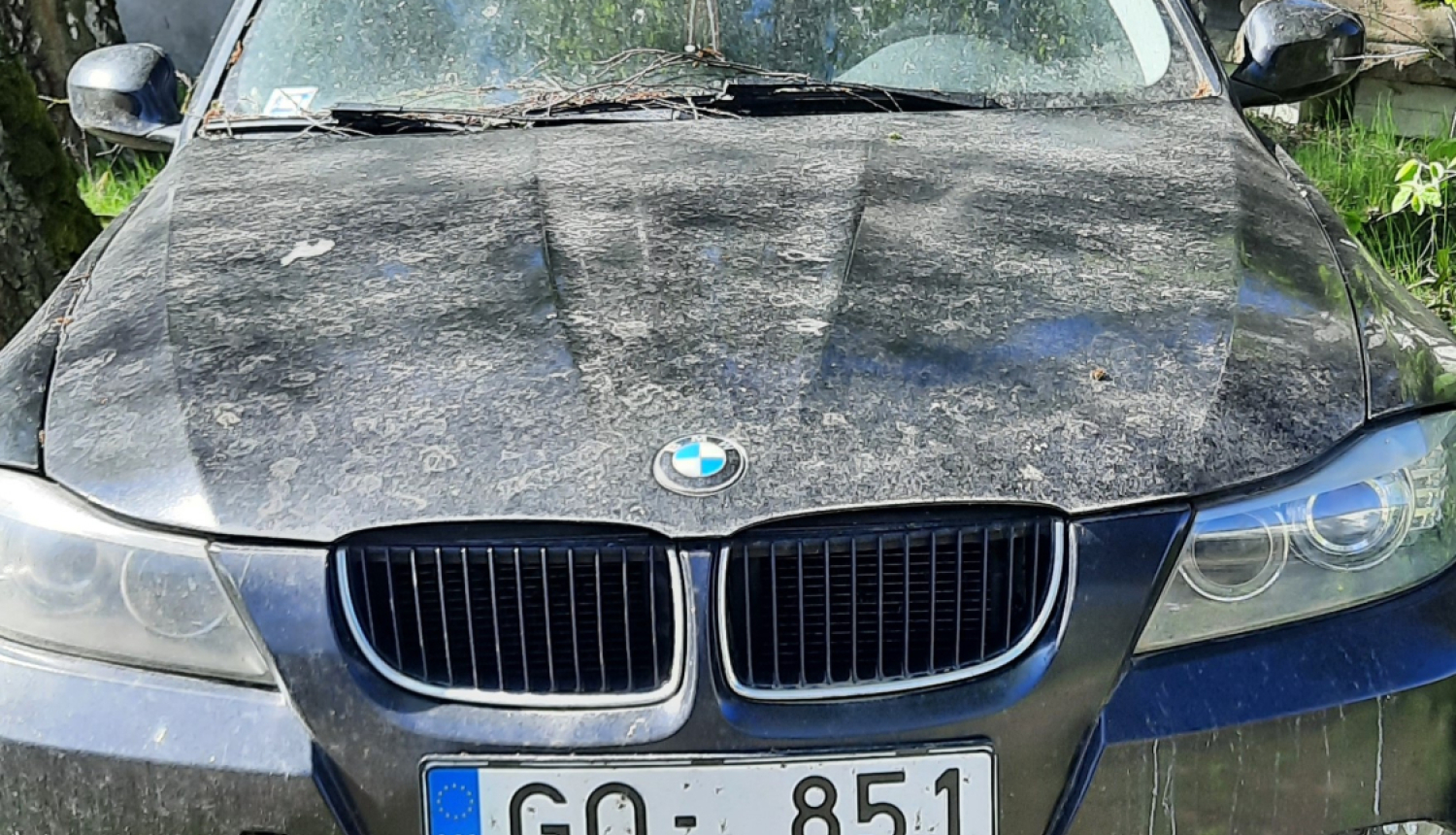 Foto attēls