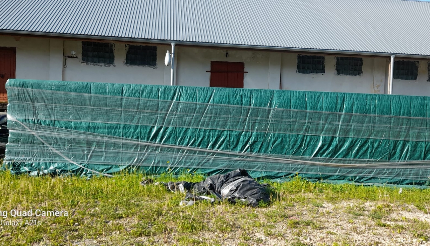 Mantas foto attēls
